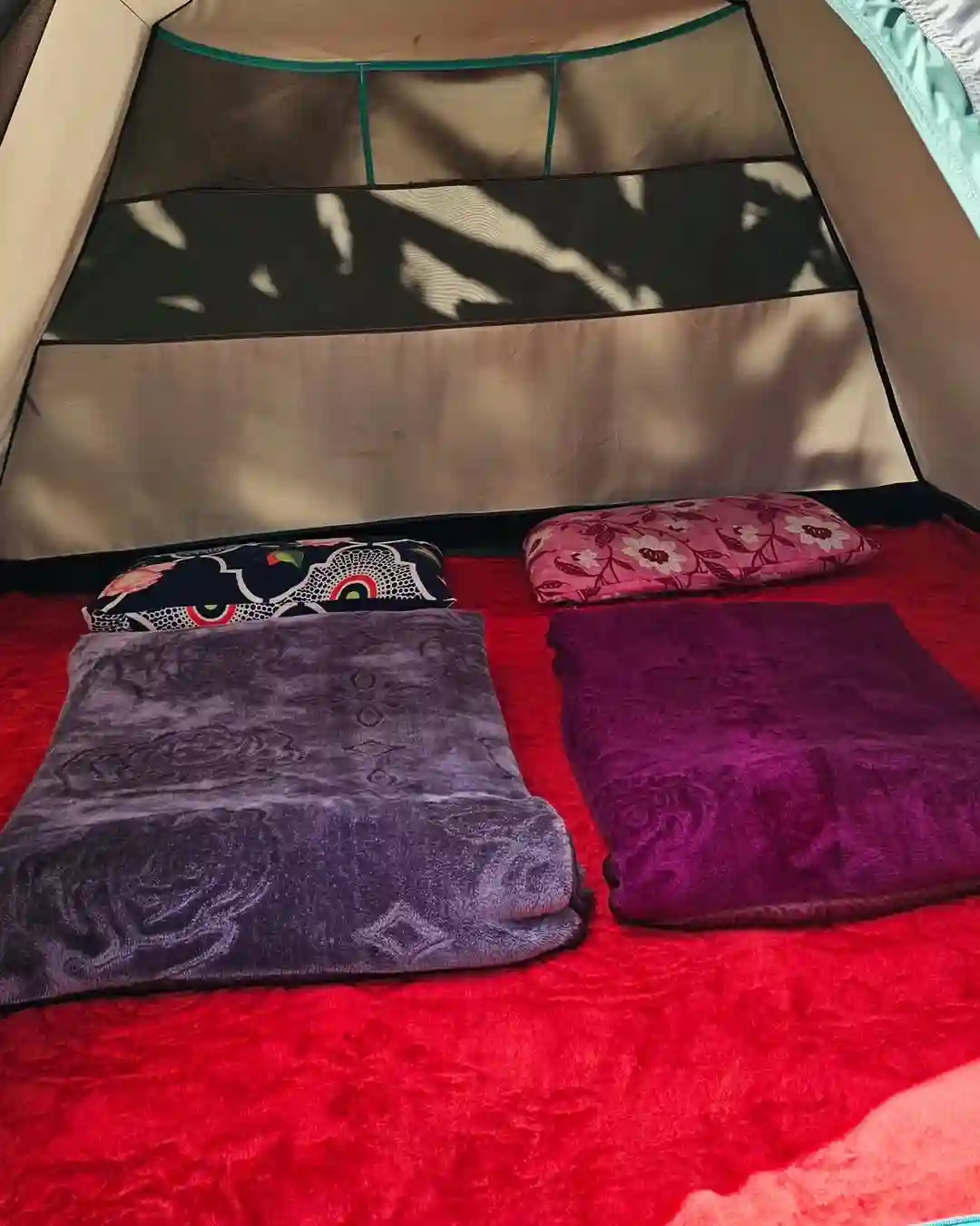 Couple tent stay near Munnar